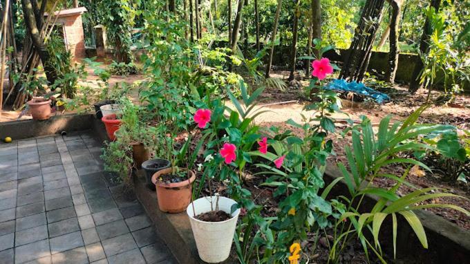 Sneh Beach Homestay - Wayangani Vengurla Exterior foto